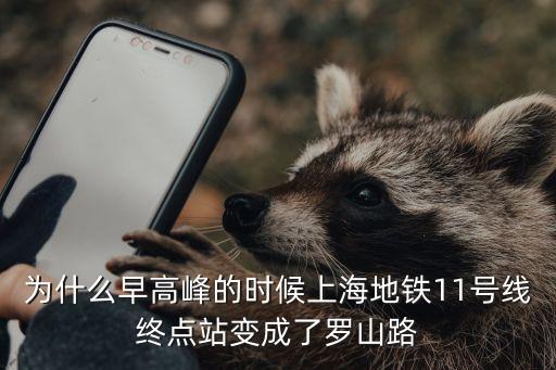 為什么早高峰的時候上海地鐵11號線終點站變成了羅山路