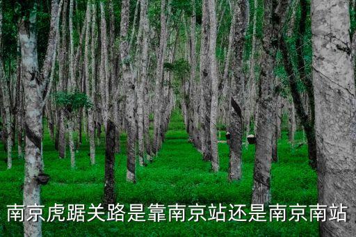 虎踞關(guān)，南京市虎踞關(guān)1號是哪個區(qū)