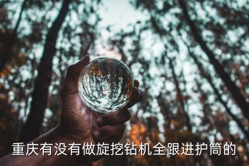 重慶有沒有做旋挖鉆機(jī)全跟進(jìn)護(hù)筒的