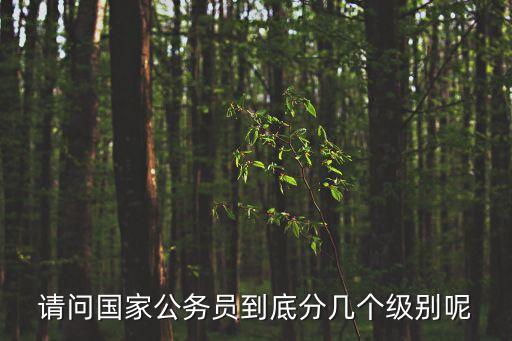 正國(guó)級(jí)有幾個(gè)，QQ3國(guó)幾級(jí)有3個(gè)雙經(jīng)吖