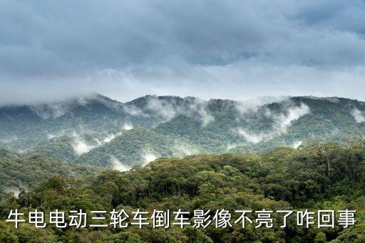 牛電電動三輪車，牛電電動三輪車倒車影像不亮了咋回事