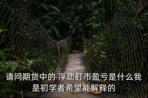 請問期貨中的 浮動(dòng)盯市盈虧是什么我是初學(xué)者希望能解釋的