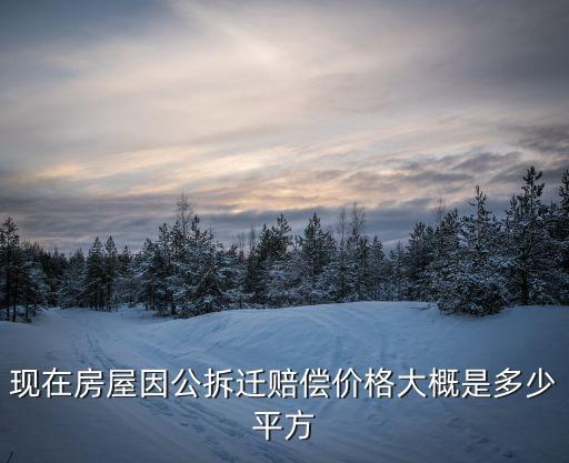 現(xiàn)在房屋因公拆遷賠償價格大概是多少平方