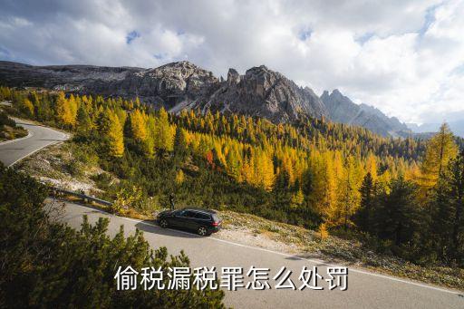 偷稅漏稅怎么處罰，偷稅漏稅的處罰規(guī)定是什么