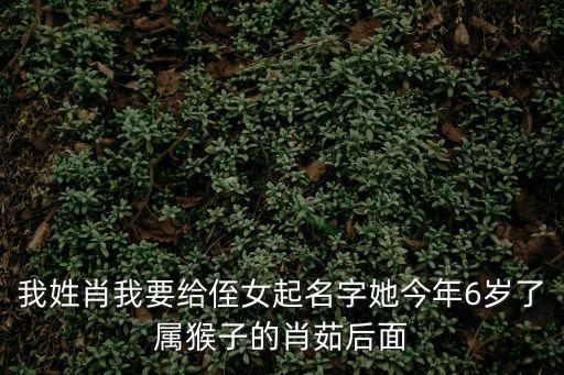 我姓肖我要給侄女起名字她今年6歲了屬猴子的肖茹后面