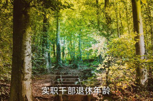 實職干部退休年齡