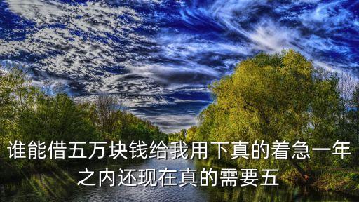 誰需要錢我借他5萬，誰能借五萬塊錢給我用下真的著急一年之內(nèi)還現(xiàn)在真的需要五