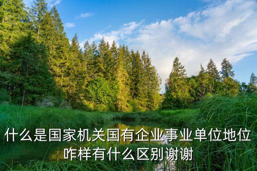國有企業(yè)是國企嗎，國企是個什么概念啊