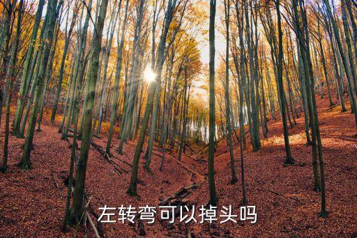 左轉(zhuǎn)彎可以掉頭嗎