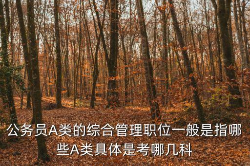 公務(wù)員A類的綜合管理職位一般是指哪些A類具體是考哪幾科