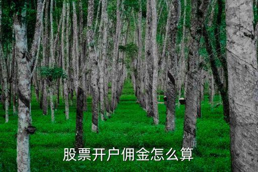 股票開戶傭金怎么算