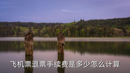 飛機(jī)票退票手續(xù)費(fèi)是多少怎么計(jì)算