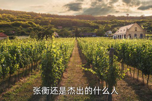 于永和，張衡還是杰出的什么人