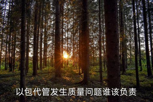以包代管發(fā)生質(zhì)量問題誰該負(fù)責(zé)