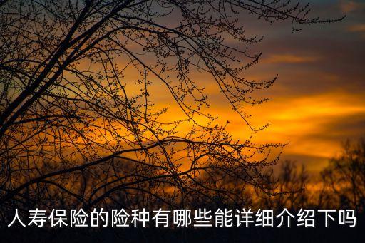 人壽險種，人壽保險的種類