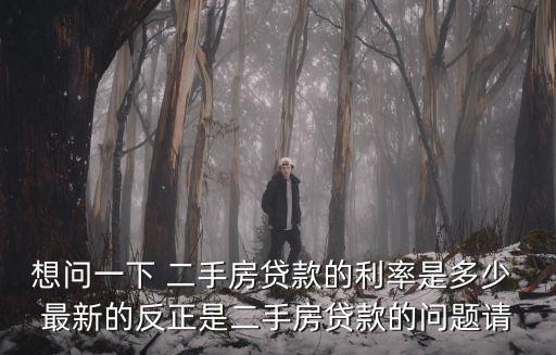 想問一下 二手房貸款的利率是多少 最新的反正是二手房貸款的問題請