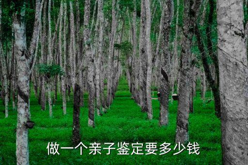 做一個親子鑒定要多少錢