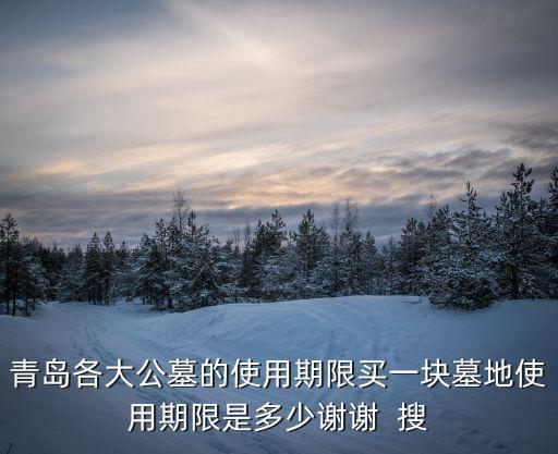 公墓使用年限，現(xiàn)今公墓的使用權(quán)是多少年限