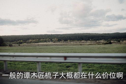 一般的譚木匠梳子大概都在什么價位啊