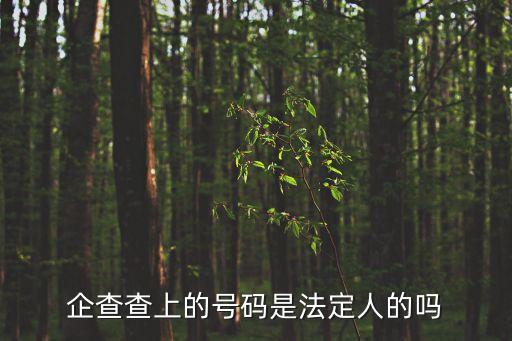 企查查電話，請(qǐng)問(wèn)客服電話是多少