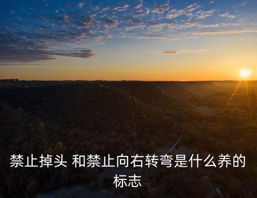 禁止掉頭 和禁止向右轉(zhuǎn)彎是什么養(yǎng)的標(biāo)志