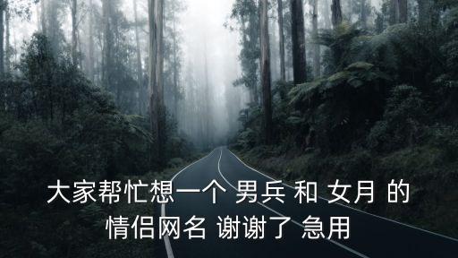 凌兵，大家?guī)兔ο胍粋€(gè) 男兵 和 女月 的情侶網(wǎng)名 謝謝了 急用