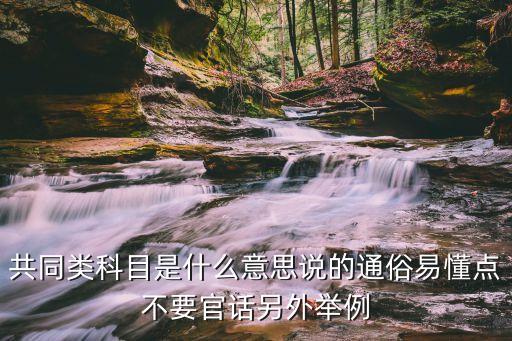 共同類科目，問共同類科目到底是哪些