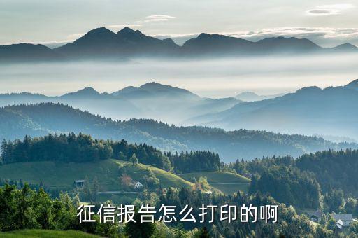 征信報(bào)告怎么打印，征信報(bào)告怎么打印的啊
