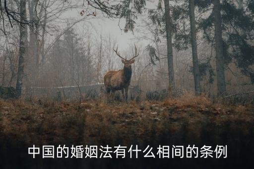 結(jié)婚政策，中國的婚姻法有什么相間的條例