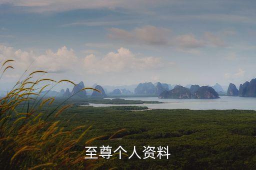 至尊個人資料