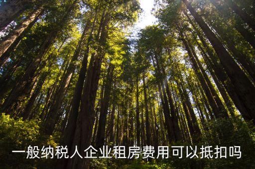 一般納稅人企業(yè)租房費用可以抵扣嗎