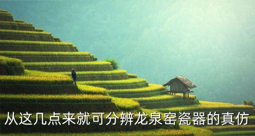 從這幾點來就可分辨龍泉窯瓷器的真仿