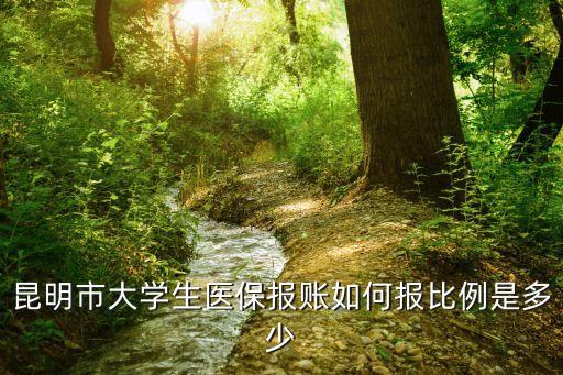 市醫(yī)保報(bào)銷比例是多少，昆明市大學(xué)生醫(yī)保報(bào)賬如何報(bào)比例是多少
