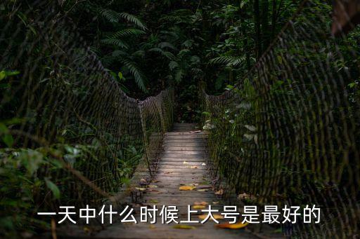 一天中什么時候上大號是最好的