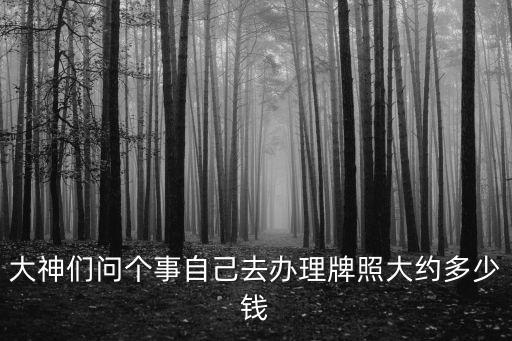 大神們問個事自己去辦理牌照大約多少錢
