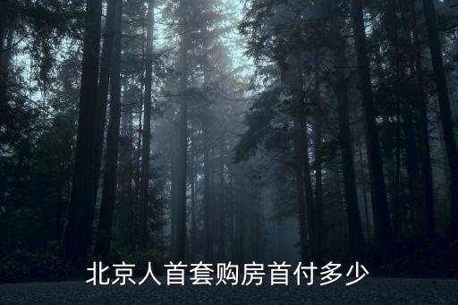北京人首套購房首付多少