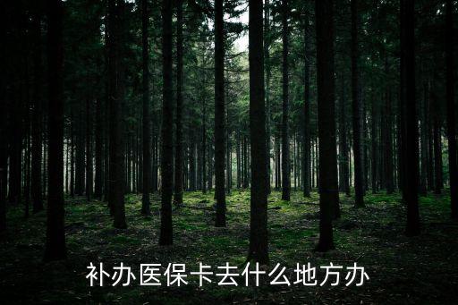 醫(yī)?？ㄈツ睦镅a(bǔ)辦，補(bǔ)辦醫(yī)?？ㄈナ裁吹胤睫k
