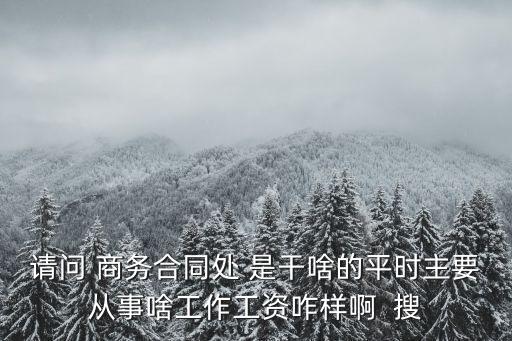 請(qǐng)問(wèn) 商務(wù)合同處 是干啥的平時(shí)主要從事啥工作工資咋樣啊  搜