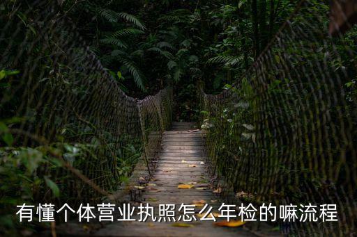 有懂個體營業(yè)執(zhí)照怎么年檢的嘛流程