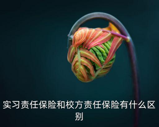 實(shí)習(xí)責(zé)任險(xiǎn)，職業(yè)院校學(xué)生實(shí)習(xí)責(zé)任保險(xiǎn) 必須買嗎