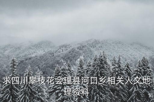 攀枝花鄉(xiāng)，攀枝花一共有幾個(gè)區(qū)多少個(gè)鄉(xiāng)鎮(zhèn)分別是什么鄉(xiāng)什么鎮(zhèn)每個(gè)鄉(xiāng)鎮(zhèn)人