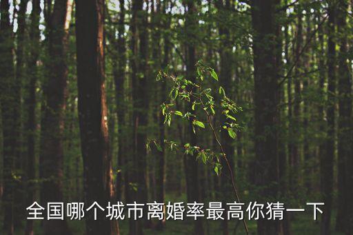 離婚率最高的城市，中國離婚率最高的是哪個城市