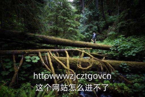 httpwwwzjcztgovcn這個(gè)網(wǎng)站怎么進(jìn)不了