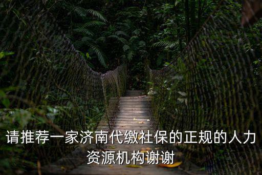 請(qǐng)推薦一家濟(jì)南代繳社保的正規(guī)的人力資源機(jī)構(gòu)謝謝
