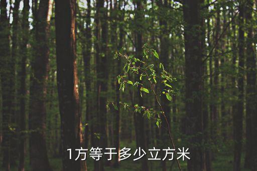 1方等于多少立方米