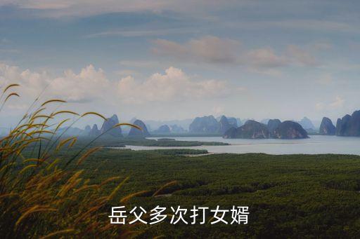 惡女婿，岳父多次打女婿