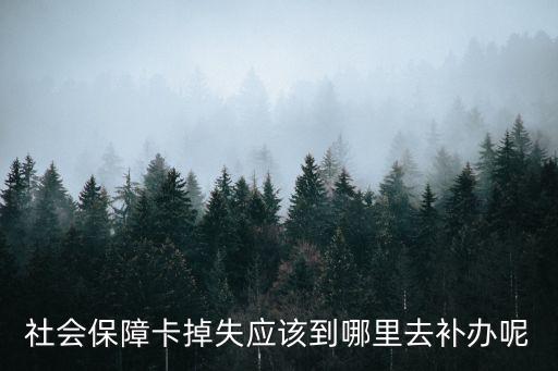社?？ㄈツ睦镅a(bǔ)辦，社會(huì)保障卡掉失應(yīng)該到哪里去補(bǔ)辦呢