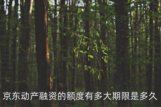 動產(chǎn)融資，京東動產(chǎn)融資的額度有多大期限是多久