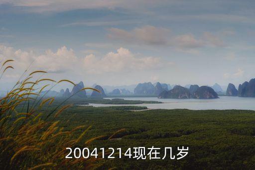 04年的今年多大，2004年8月19日出生今年2020年4月1日虛歲多大