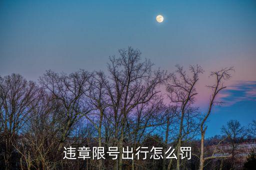 限號出行怎么處罰，限號哪天出行怎么罰款